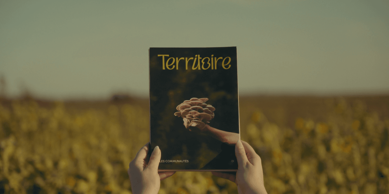 Magazine